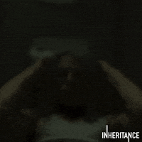 Lily Collins Movie GIF by Signature Entertainment