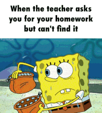 homework GIF