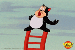 scared cat GIF by Looney Tunes