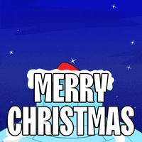 Merry Christmas GIF by Pudgy Penguins