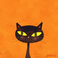 Black Cat Halloween GIF