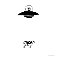 animation domination fox GIF