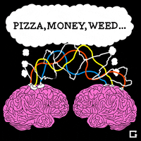 Brains Mind Reading GIF by gifnews