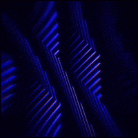 gif artist perfect loop GIF by Erica Anderson