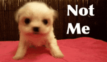 Im Not GIF Im Not GIF