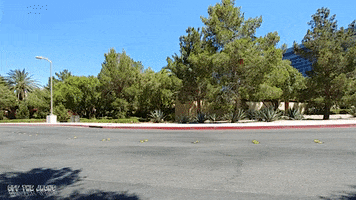 passing classic cars GIF by Off The Jacks passing classic cars GIF by Off The Jacks