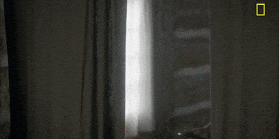 Episode 1 GIF by National Geographic Channel