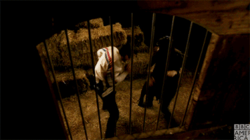 dirk gently slap GIF by BBC America