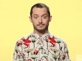 Elijah Wood Shrug GIF by BBC America