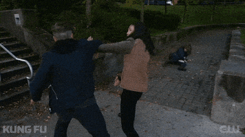Tv Series Fighting GIF by CW Kung Fu