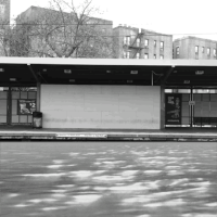 new york love GIF by Ryan Seslow