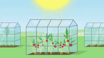 climate change animation GIF
