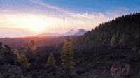 Sun Sunset GIF
