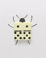 Stop Motion Bug GIF by cintascotch