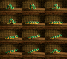 Stop Motion Bug GIF by PES