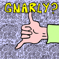 Animation Domination High-Def Lol GIF by gifnews