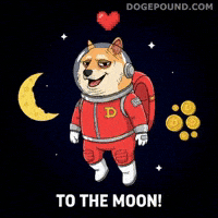 Shiba Inu Love GIF by Doge Pound