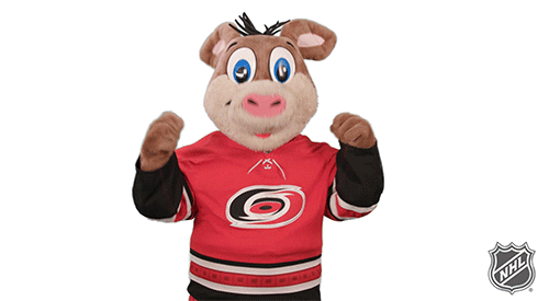 Ice Hockey Thumbs Up GIF by NHL