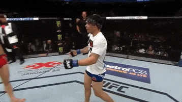 ufc 207 hug GIF