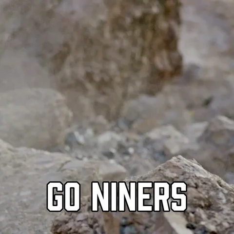 San Francisco 49Ers GIF by Sealed With A GIF