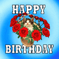 Happy Birthday GIF