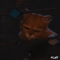 Puss In Boots Please GIF by Laff Puss In Boots Please GIF by Laff