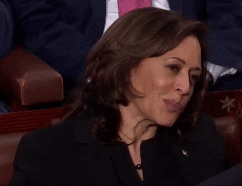 Kamala Harris Idk GIF by MOODMAN