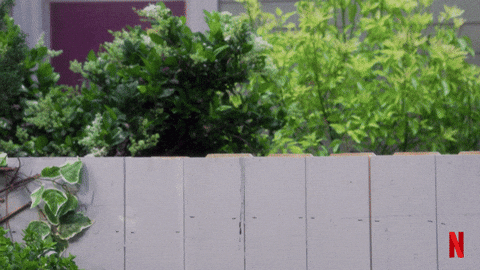 Season 3 Peeking GIF by NETFLIX by netflix