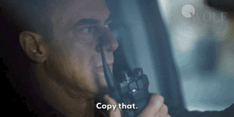 I Understand Law And Order GIF by Wolf Entertainment by wolfentertainment
