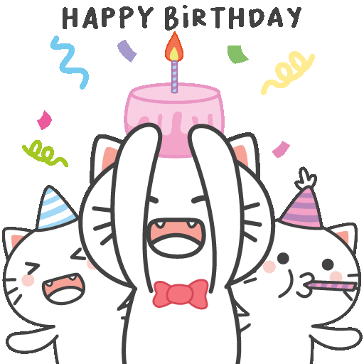 Excited Happy Birthday GIF by KIKI by kikicat