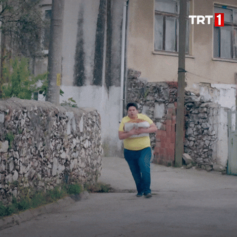 Giphy - Breakfast Pide GIF by TRT