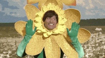 the rock snl GIF by Saturday Night Live