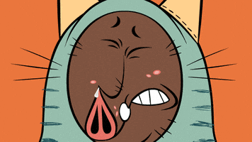 Cat Wow GIF by ZIP ZIP