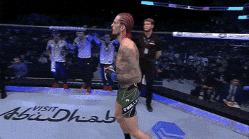 Mixed Martial Arts Sport GIF by UFC