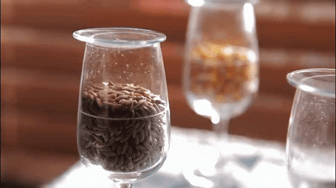 cocktail barrel GIF by Four Roses Bourbon