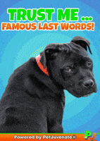 Trust Me Famous You Lie Liar Pj Petjuvenate GIF by PetJuvenate - PJ