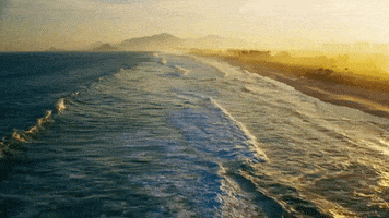 Surfing Hawaii GIF by 50statesproject