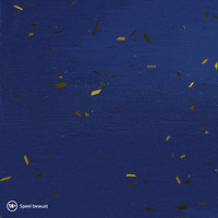 Confetti Winnen GIF by Postcode Loterij