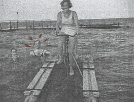 Sound And Vision Summer GIF by Beeld en Geluid