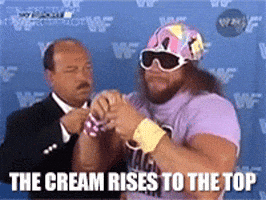macho man randy savage GIF macho man randy savage GIF
