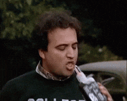 Animal House Drinking GIF Animal House Drinking GIF