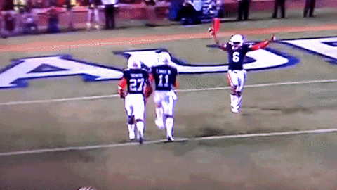 Football Touchdown GIF