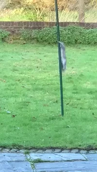 Mood Fails GIF by JustViral