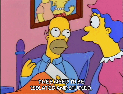 talking homer simpson GIF