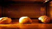 Bread GIF