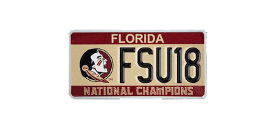 gold graduation Sticker by Florida State University