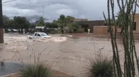 Trash Truck GIF