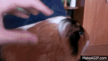 jealousy GIF