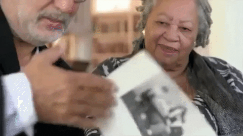 news  GIF