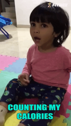 fitbee  GIF